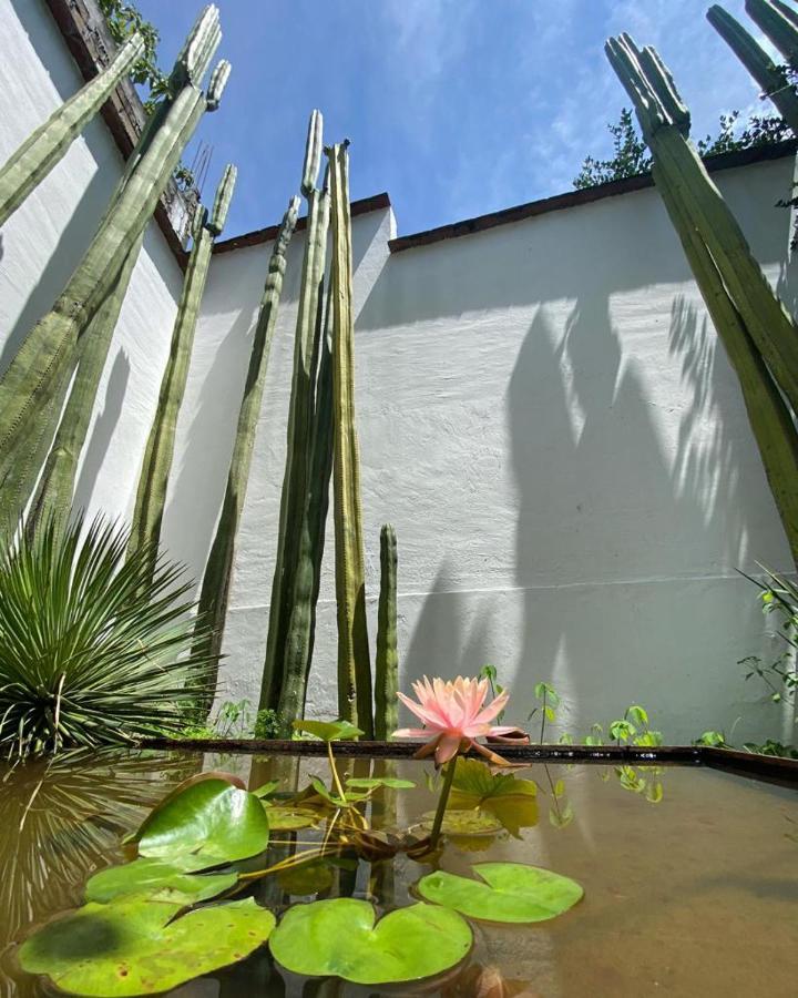 Casa Mayo B&B Oaxaca ภายนอก รูปภาพ