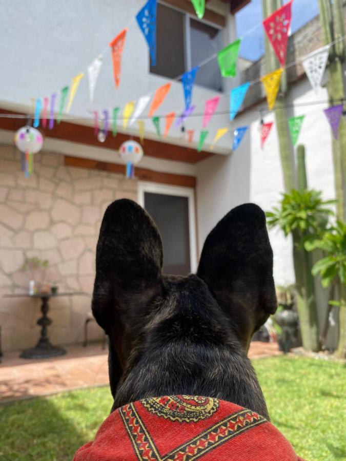 Casa Mayo B&B Oaxaca ภายนอก รูปภาพ